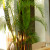 Longboards Restaurant Longboards Restaurant