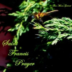 A Song For St Francis