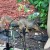 I need some dessert. Where's that peanut I buried? I need some dessert. Where's that peanut I buried?
