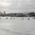 OC6's lining up for the start of their race. OC6's lining up for the start of their race.