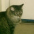 Shari just took this one to show off my good looks. Shari just took this one to show off my good looks.