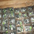 Seedlings waiting for transplanting. Seedlings waiting for transplanting.