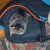 Cats take naps everywhere and anywhere. Cats take naps everywhere and anywhere.