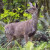 Lots of WIldlife to View and Photograph Lots of WIldlife to View and Photograph