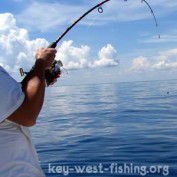 fishingcharter profile image