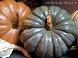 Polished Pumpkins and Gourds