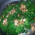 Kale gets a rich green color soon after it begins to cook. Kale gets a rich green color soon after it begins to cook.