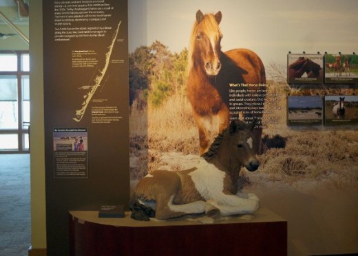 A pony exhibit with a life-sized model foal.