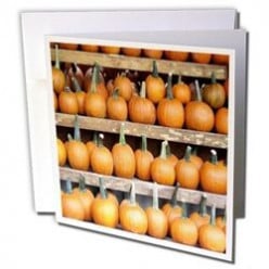 Autumn and Halloween Greeting Cards