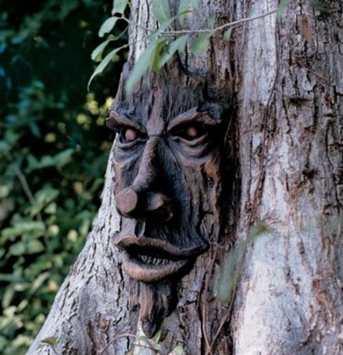 TreeSpirit-Nottingham Plaq on Amazon