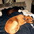 Dixie taking another nap. Dixie taking another nap.