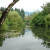 Ambleside Pond with Trees Ambleside Pond with Trees