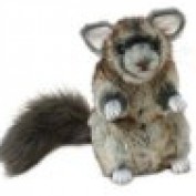 chinchilla cages profile image