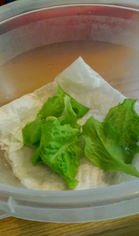 Rinsed lettuce leaves may keep for a few days in the fridge. Layer a piece of paper towel on the bottom of a plastic container to maintain moisture.