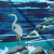 The Great Blue Heron is one of many birds often seen here. The Great Blue Heron is one of many birds often seen here.