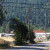 Walking down Indian Creek Road I come to the Happy Camp High School football field. Walking down Indian Creek Road I come to the Happy Camp High School football field.