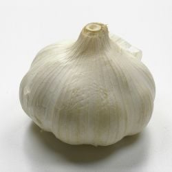 Garlic bulb containing a number of individual cloves