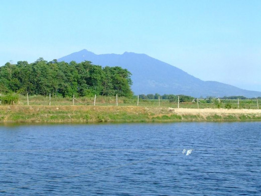Another View of a Tilapia Farm Pond, Mabalacat, Pampanga, Philippines