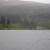 Green shoreline. Green shoreline.