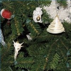 Find a Theme for a Christmas Tree