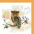 Owl Owl