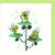 Musical frogs Musical frogs