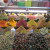 Spices Spices