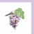 Grape on Vine Grape on Vine