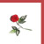 Red Flower Red Flower
