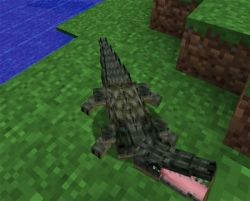 Mo' Creatures Alligator