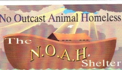 All proceeds from this site go to the N.O.A.H. Rescue Shelter