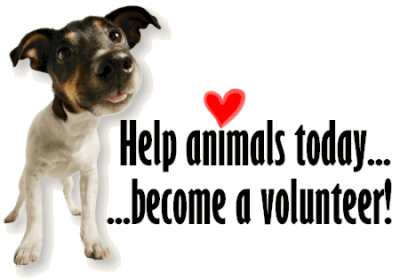 Photo credit by royalty free google images