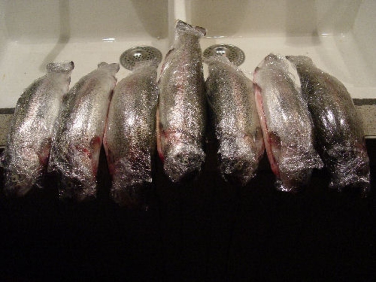 Frozen trout coming out the freezer