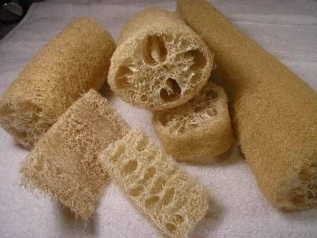 Cut sponges into different shapes and sizes when they are wet if you are not cutting a flattened sponge.(Photo google images by David Fisher)