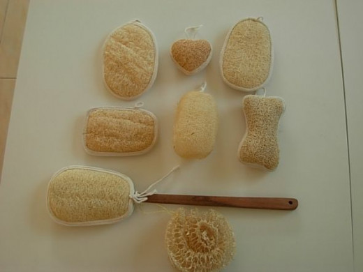 You can create all kinds of things with your sponges. (Above Photo google images by seed gallery)