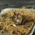 Calico tabby cat Calico tabby cat