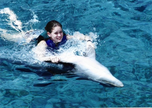 There's nothing in the world like a dolphin ride. 