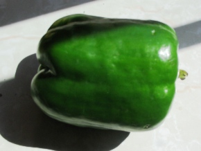 green bell pepper