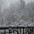 Winter wonderland at Le Moulin Winter wonderland at Le Moulin