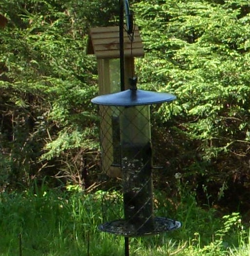 squirrel proof feeder