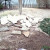 Why Did I Start This?
Photos by Bob Schroeder Why Did I Start This?Photos by Bob Schroeder