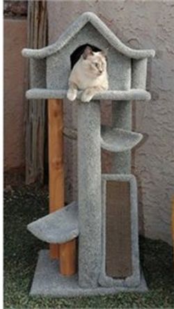 Cat Tree Condo