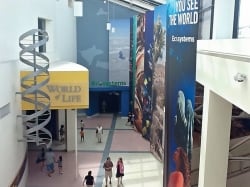 A view from the third floor of the California Science Center.