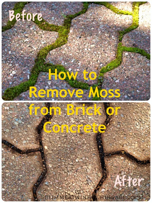 How To Remove Moss From Brick Or Concrete Dengarden This Is An Easy And Effective Way To Remove Moss From Brick Concrete