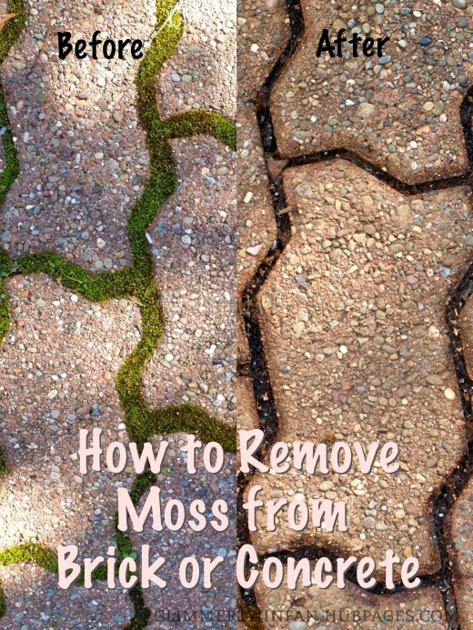 How To Remove Moss From Brick Or Concrete Dengarden This Is An Easy Way To Remove Moss From Brick And Concrete