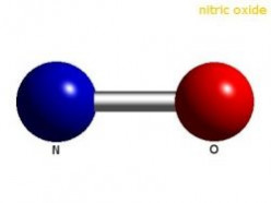 Nitric Oxide (Nitrogen Monoxide) Side Effects
