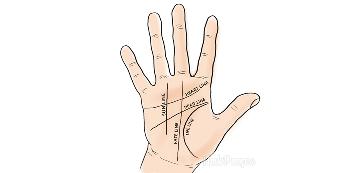 What Do The Lines On Your Palm Mean Exemplore