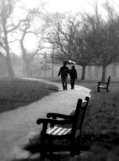 Image by