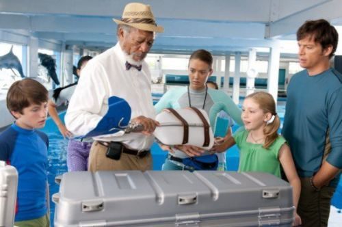 Image from Dolphin Tale on Facebook