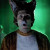 The Fox from The Fox Video by Ylvis. Screen Shot from YouTube.